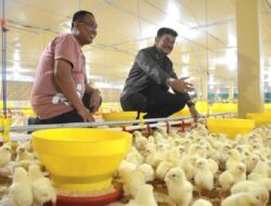 Diresmikan Mentan SYL, Peternakan Ayam Modern Terbesar di Indonesia Berada di Gowa