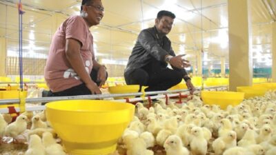 Diresmikan Mentan SYL, Peternakan Ayam Modern Terbesar di Indonesia Berada di Gowa
