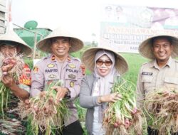 Sekda Kamsina Optimis Gowa Swasembada Bawang Merah