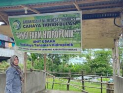 Pinrang Ikutkan 2 Lingkungan dan 2 Dusun Berlaga di Ajang Proklim 2023