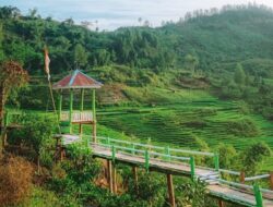 Masuk 75 Besar Anugrah Desa Wisata Indonesia, Ini Potensi Desa Rinding Allo Luwu Utara