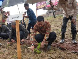 Kembalikan Kejayaan Sutera, Gubernur Andi Sudirman Tanam Bibit Murbei di Wajo