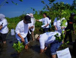 Pelindo Jasa Maritim Kolaborasi dengan Komunitas Tanaman Mangrove