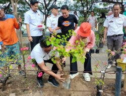 Tepi Jalan Metro Tanjung Bunga Ditanami Pohon Peneduh, Menambah Jumlah Hutan Kota