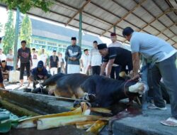 Kodam XIV/Hsn Berbagi Daging Kurban, Pangdam: Semoga Membahagiakan serta Merekatkan Ikatan TNI dan Masyarakat