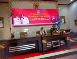 Ini Langkah Pemkab Bone Cegah dan Turunkan Stunting