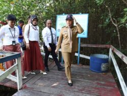 Fatmawati Rusdi Tinjau Wisata Mangrove Lantebung, Kepala Dispar Sebut Akan Ada Pembenahan