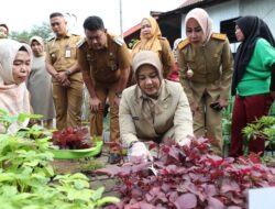 Kunjungi Lorong Jl Gusung Jihad, Fatmawati Rusdi Pantau Kesiapan Lomba Kelurahan Tingkat Kabupaten/Kota 2023
