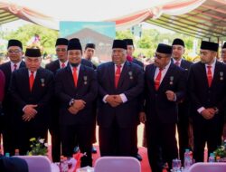 Ini Alasan Gubernur Sulsel Andi Sudirman Dapat Penghargaan dari Presiden Jokowi