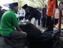 Danny Pomanto Saksikan Pemotongan Hewan Kurban dan Gelar Open House