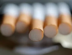 Satpol PP Sinjai Bersama Bea Cukai Makassar Lakukan Pengawasan Rokok Ilegal, Ini Hasilnya