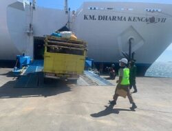 Karantina Pertanian Makassar Tolak 6 Ekor Kerbau dari Surabaya, Ini Alasannya