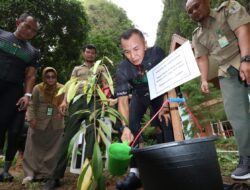 Ebony Terancam Punah, Pangdam XIV/Hsn-Komisi I DPR RI Awali Gerakan Tanam Pohon dari Bantimurung