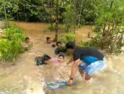 Satgas Pamtas RI-PNG Pertaruhkan Nyawa, Selamatkan Pelajar yang Terbawa Arus Banjir