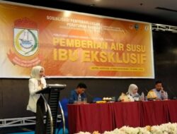 Sosialisasi Perda, Irmawati Sila Jelaskan Pentingnya Pemberian ASI Ekslusif