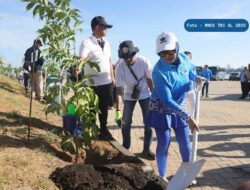 Ratusan Pohon Tabebuya Bakal Ditanam Saat Gelaran APEKSI XVI di Makassar