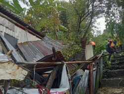 Rumah Warga Rusak Tertimpa Pohon Tumbang, Pemprov Salurkan Bantuan