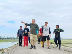 Bupati Minta Gerdal OPT Tikus Dilakukan di Awal Masa Tanam