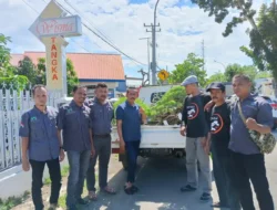 PPBI Sinjai Kirim Puluhan Bonsai Andalan Ikut Kontes dan Pameran Nasional di Bone, Ada Varian Khusus Aralla