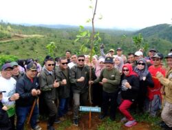 Tanam Pohon, Upaya Pemkab Gowa Perbaiki Kawasan Hutan Kritis