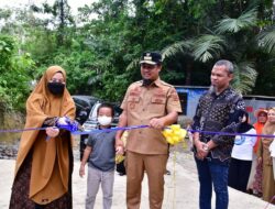 Resmikan Embung Agrowisata Pallae, Ini Harapan Gubernur