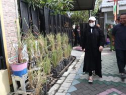 Kunjungi Lorong Wisata Bahagia, Wawali Makassar: Program Ini Harus Sustainable