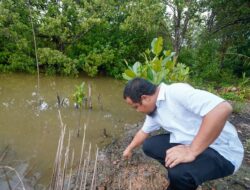 Gubernur Sharing Terkait Carbon Trading di Kepulauan Riau, Ini Harapannya