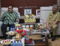 Bupati Irwan Hamid Terima Kunjungan Deputi Litbang BKKBN, Bahas Program-program di Pinrang