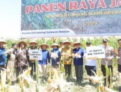 Hadiri Panen Raya SLI di Galesong, Pj Bupati Takalar Berharap Tidak Hanya Fokus pada Jagung
