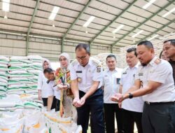 Stok Beras di Makassar Aman hingga Akhir Tahun, Danny Pomanto: Jangan Panik