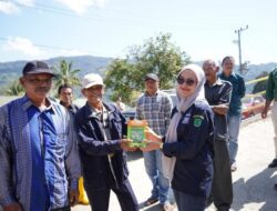 Rongkong Diharapkan Jadi Daerah Penghasil Cabai