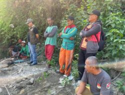 Dampak El Nino, Ratusan Hektar Lahan Cabai di Wajo Terancam Gagal Panen