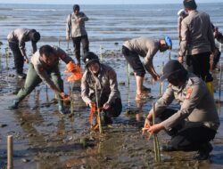 Polres Bulukumba Gandeng Aktivis Lingkungan Tanam 1.000 Mangrove di Tabbuttu
