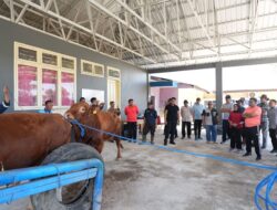 Bahtiar Kunjungi Pucak Maros, Dorong Inseminasi Buatan Tingkatkan Populasi Ternak