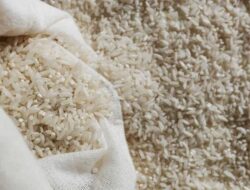 Plt Mentan Sebut 600 Ribu Ton Beras Impor Tambahan Masuk RI Akhir 2023