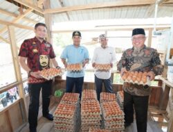 Gowa Berpotensi Besar di Sektor Peternakan, Manuju Jadi Kecamatan Pengembangan Ayam Petelur dan Boiler