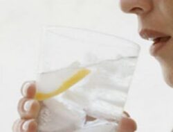 Healthy: Minum Es Saat Cuaca Panas Ekstrem, ini Efeknya Bagi Tubuh