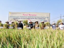 Panen Padi di Tengah El Nino, Bahtiar: Terima Kasih kepada Seluruh Petani
