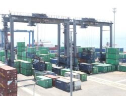 Pelindo Catat Arus Peti Kemas Tumbuh 6 Persen pada Semester I 2025