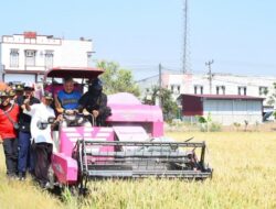 Bupati Pinrang Harap Masyarakat Bersyukur Atas Panen Berlimpah di Tengah Kemarau Panjang