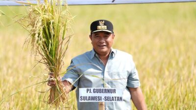 Panen Raya di Gowa, Sulsel Sukses Tangani Dampak El Nino