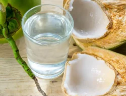 Healthy: Air Kelapa Bisa Atasi Demam Berdarah, Benarkah?