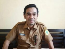 El Nino Tak Pengaruhi Produksi Beras di Sinjai, Kadis TPHP: Malah Meningkat Tahun Ini