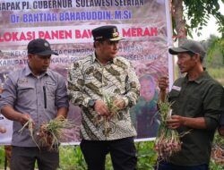 Atasi Masalah Petani Bawang Merah, Pemprov Sulsel Siapkan Skema Bisnis Hulu Hingga Hilir