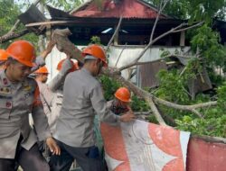 SAR Brimob Bone Gerak Cepat Evakuasi Pohon Tumbang yang Timpa Rumah Warga