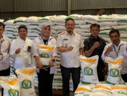 DKP Makassar Cek Kualitas dan Ketersedian Beras Bantuan Sebelum Disalurkan ke Masyarakat