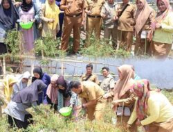 Kepala DKP Makassar Apresiasi Panen Cabai KWT Melati Kelurahan Bangkala