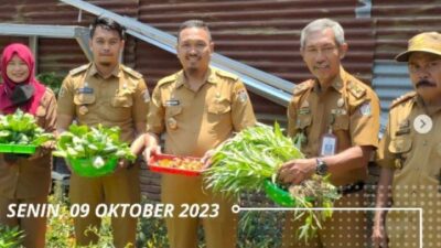 Kadis Ketahanan Pangan Makassar Panen Sayuran