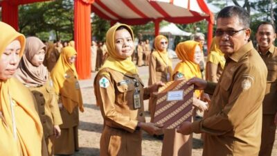 Peringatan HKN, 31 Nakes Berprestasi di Gowa Diberi Penghargaan