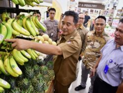 Sulsel Siap Penuhi Kebutuhan Pisang Cavendish Nasional Hingga Ekspor